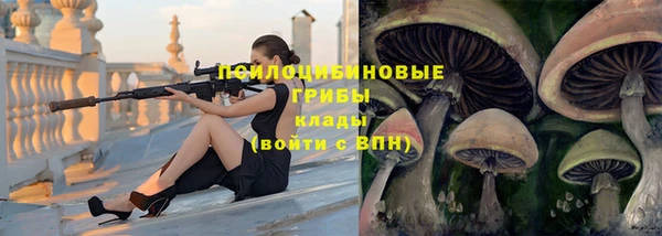 СК Горняк